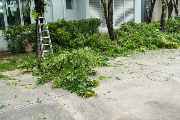 Best Commercial Tree Services  in Ocean View, DE